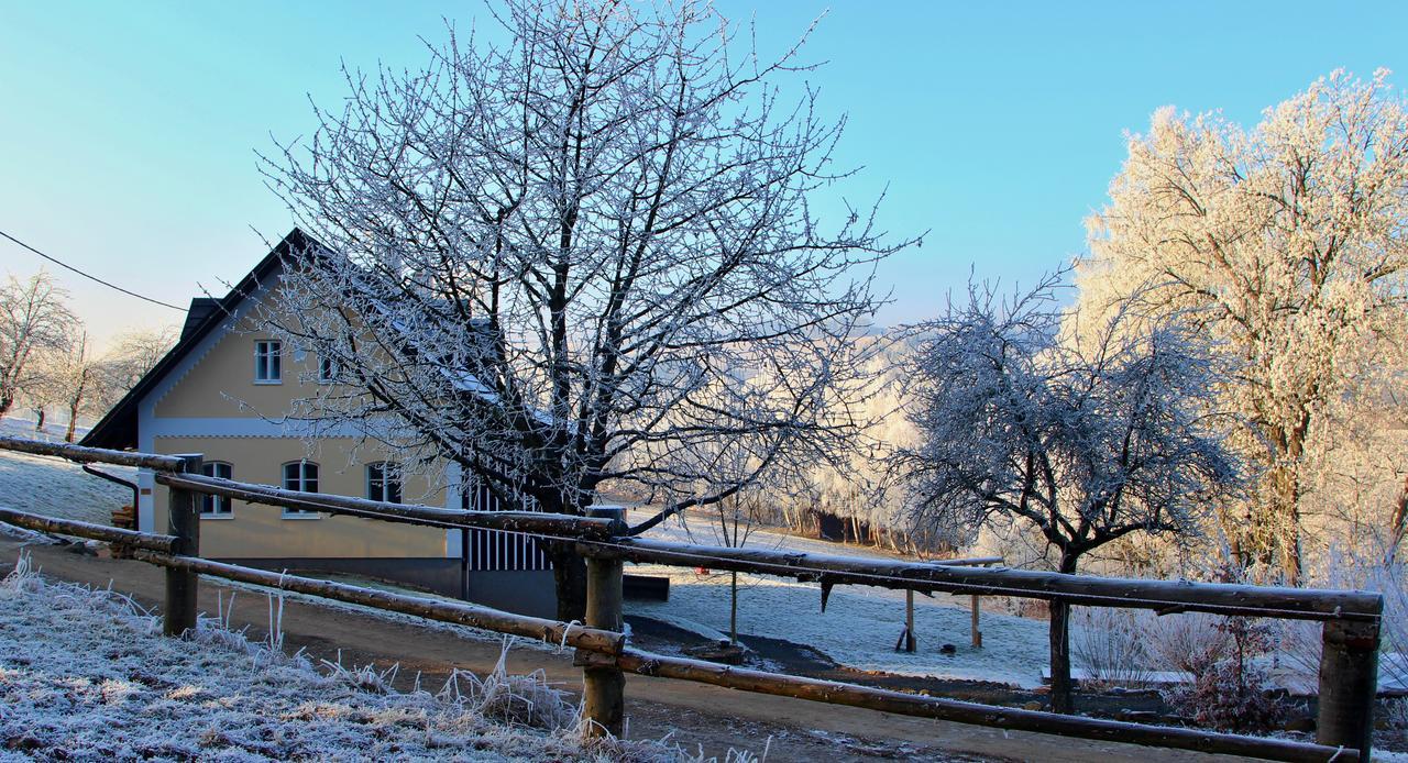 Villa Ranch Bystrá Bystrá nad Jizerou Exterior foto